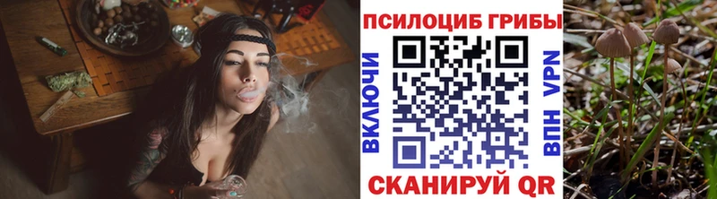 Галлюциногенные грибы Cubensis  Купить закладки  Первомайск 